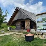 Zloty Gron Log & * Istebna