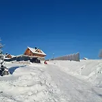 Zloty Gron Log & * Istebna