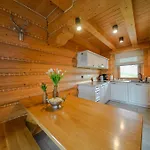 Zloty Gron Log & Casa vacanze