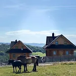 Zloty Gron Log & * Istebna