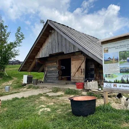 Zloty Gron Log & * Истебна