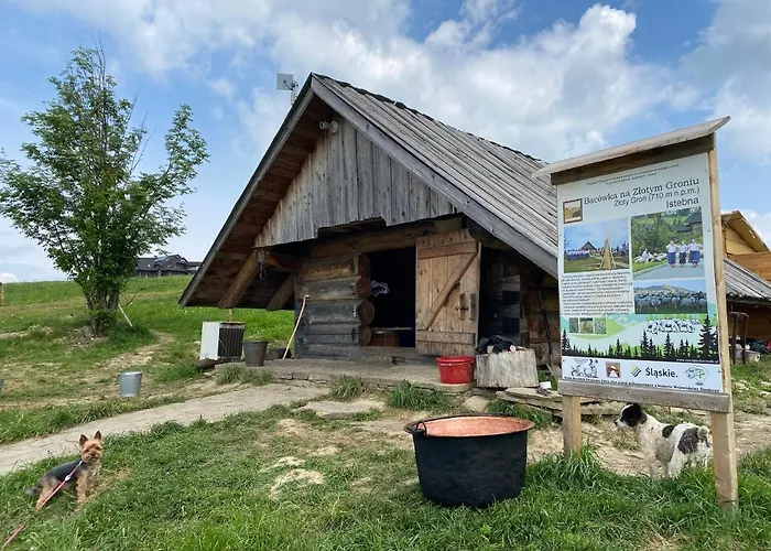 Złoty Groń Log Houses&apartments * Istebna
