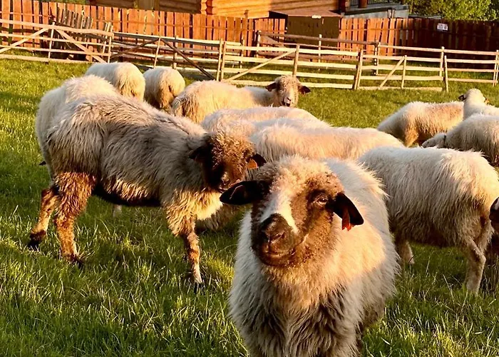Dom wakacyjny Złoty Groń Log Houses&apartments